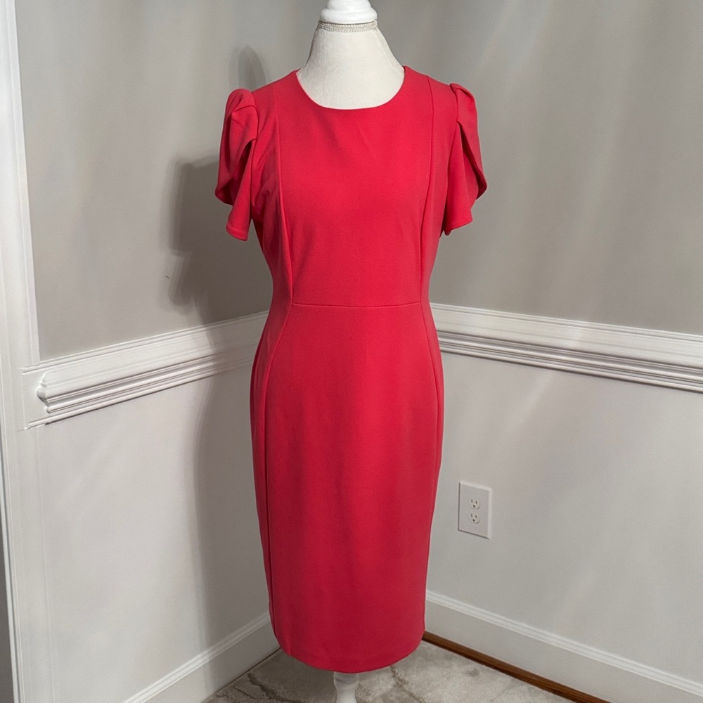 Calvin Klein Red Dress with Gold Zipper